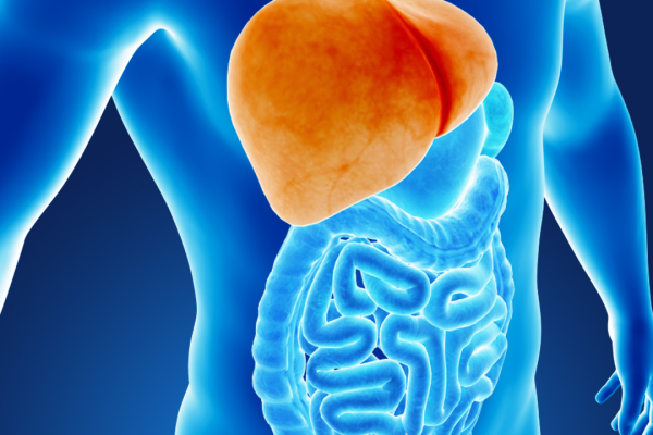 Global Fatty Liver Day